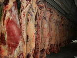 Говядина Froze beef sides (Quarters) - photo 1