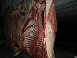 Говядина Froze beef sides (Quarters) - photo 2