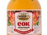 Natural juice from Kazakhstan - фото 2