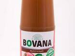 Natural juice from Kazakhstan - photo 2