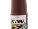 Natural juice from Kazakhstan - photo 5