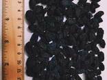 Raisins (изюм , 葡萄干) - фото 2