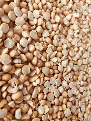 Yellow split peas