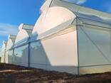5 years UV stability greenhouse film - фото 2