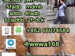 5clabdb-5cladbb - High quality chemical powder