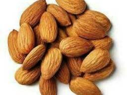 Almond nuts for sale