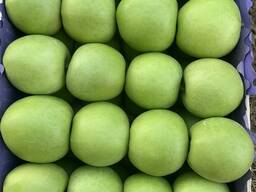 Fruits and Vegetables, SERBIA