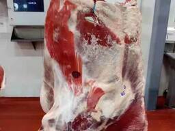 Beef/pork meat to China