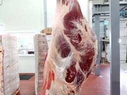 Beef Quarter Carcasses (Bone-in) Young Bulls for China