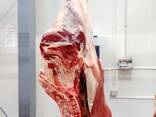 Beef Quarter Carcasses (Bone-in) Young Bulls for China