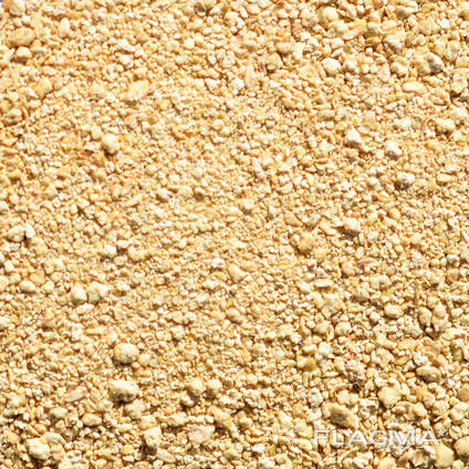 Best Price on Top Quality Soybean Meal for Nutrient-Rich Animal Feed