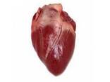 Buy wholesale frozen pork feet/hind from eu/ - photo 12