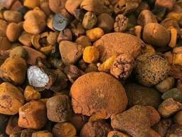 Where to find Ox gallstones in Wuhan