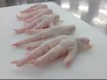 Chicken feet. - фото 1