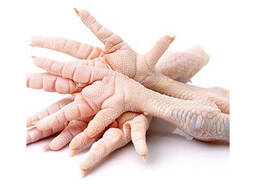 Chicken Feet / Frozen Chicken Paws / Fresh chicken and foot ready for export