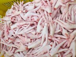 Chicken Feet / Frozen Chicken Paws / Fresh chicken and foot ready for export