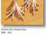Chicken Feet/Paws - фото 2