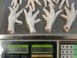 Chicken Feet/Paws - фото 3