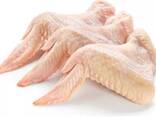 Chicken Wings - фото 1
