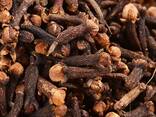 Cloves spices - фото 3