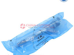 Common Rail Fuel Injector