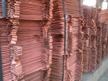 Copper cathode offer best price - фото 2