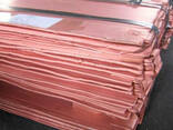 Copper cathode offer best price - фото 3