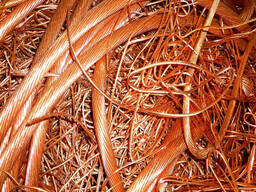 Copper Wire Scrap Mill-Berry Copper Scrap 99.99% for Sale Free Samples
