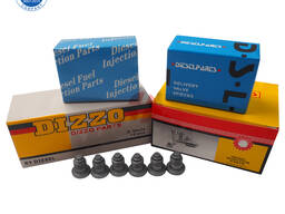 Diesel Engine Delivery Valve