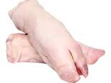 Buy wholesale frozen pork feet/hind from eu/ - photo 5