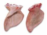 Buy wholesale frozen pork feet/hind from eu/ - photo 13
