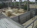 Fresh cut Pine Sawn lumber - фото 2