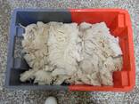 Frozen beef omasum - photo 1
