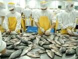 Frozen Black Tilapia - фото 3