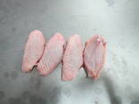 Frozen chicken mid wings - фото 1