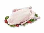 Frozen chicken whole for sale good price - photo 1