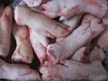Frozen Pork Meat , Pork Belly , PorK Ham Hock - фото 1