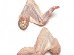 Frozen Processed Chicken Wings