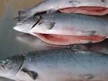 Frozen Salmon Fish - photo 1