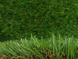 Искусственная трава в рулонах на дачу цена - фото 3