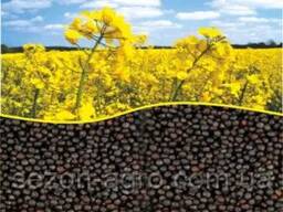 Golden Oil Trade sells rapeseed wholesale.