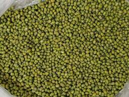 Grain. Зерно