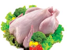 Halal Certified Frozen Whole Chicken For Sale Wholesale Frozen Halal Whole Chicken Frozen
