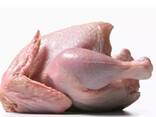 Halal Certified Frozen Whole Chicken For Sale Wholesale Frozen Halal Whole Chicken Frozen - photo 2