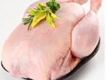 Halal Certified Frozen Whole Chicken For Sale Wholesale Frozen Halal Whole Chicken Frozen - photo 3