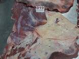顶级清真冷冻去骨牛肉/清真水牛肉/羊肉出口中国 - photo 11