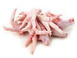 Quality Halal Frozen Chicken Feet - фото 3