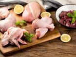 Halal - Frozen Chicken, Thigh, Back quarter, Wings , Fillet IPBF , IQF, BF. Ukraine - фото 3