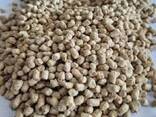 High-Quality Animal Feed – Nutrient-Rich, Custom Blends for Livestock, &amp; Poultry - photo 1