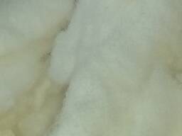 Хлопковая целлюлоза Cotton linter pulp
